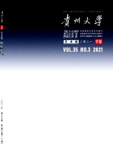 貴州大學學報·藝術(shù)版