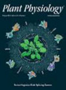 Plant Physiology