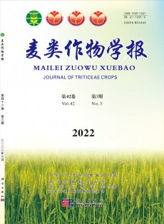 麥類(lèi)作物學(xué)報(bào)