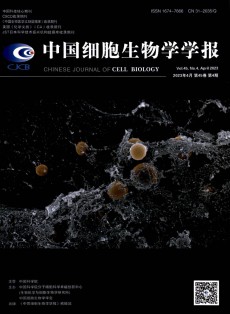 中國細(xì)胞生物學(xué)學(xué)報